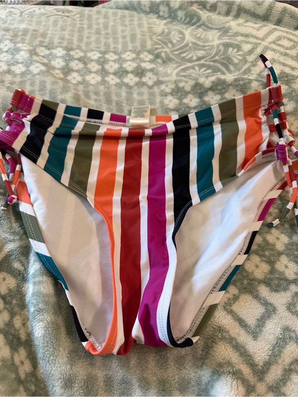 Terra & Sky Multicolor Stripe Swim Bottoms 0X